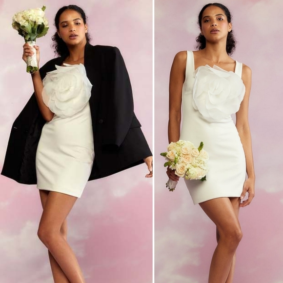 Cynthia Rowley Dresses & Skirts - NWT Cynthia Rowley Sofia Organza 3D Flower Dress